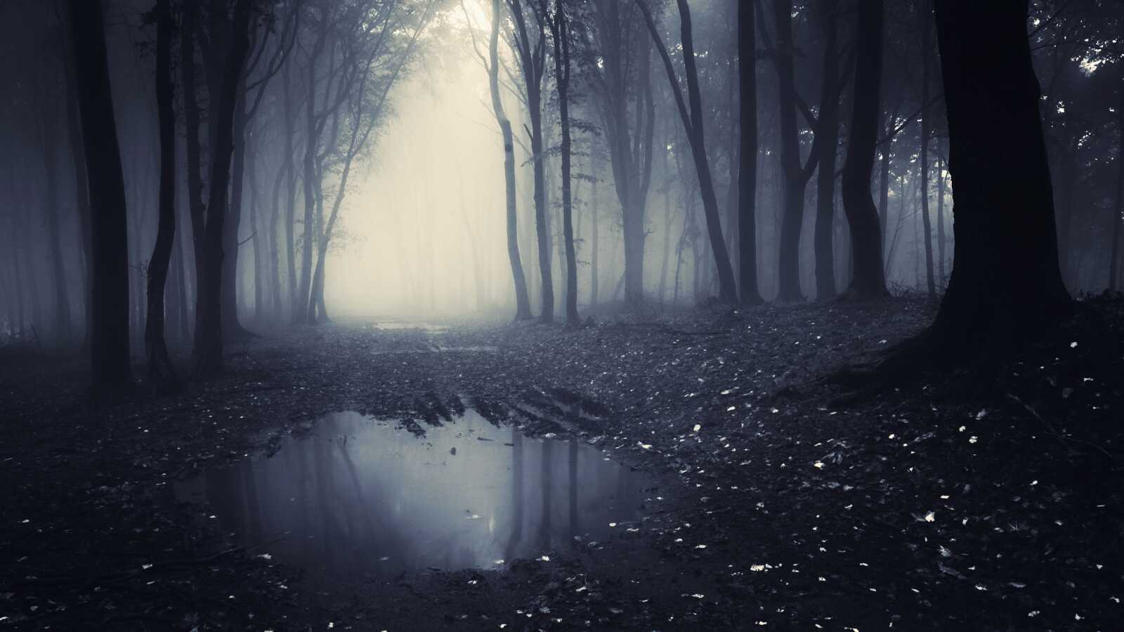 Fog