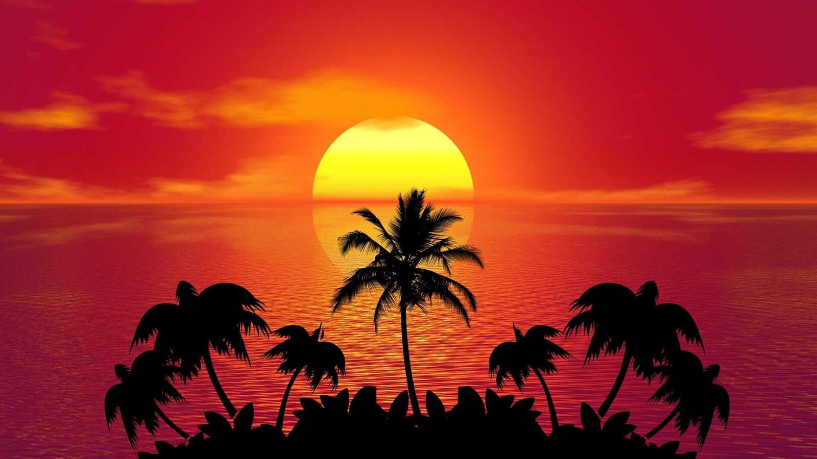 Palm Island Silhouette