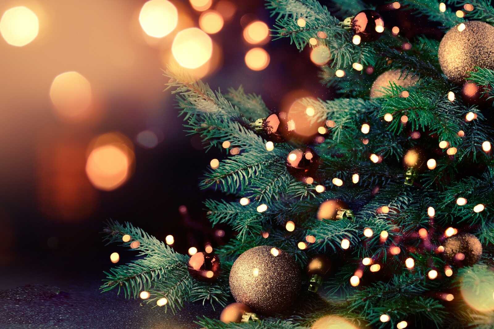 Decorated Christmas Tree
