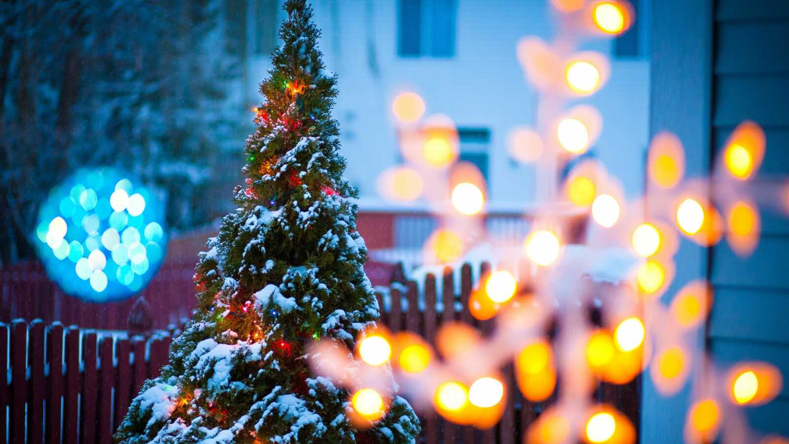 Snow-Covered Christmas Tree