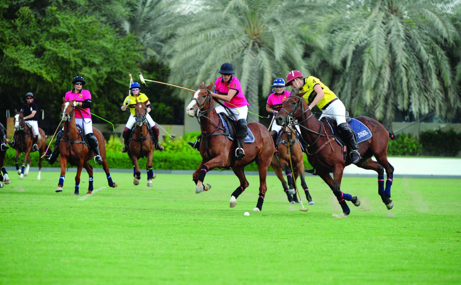 Horse Polo Wallpapers (42 images) - WallpaperCat