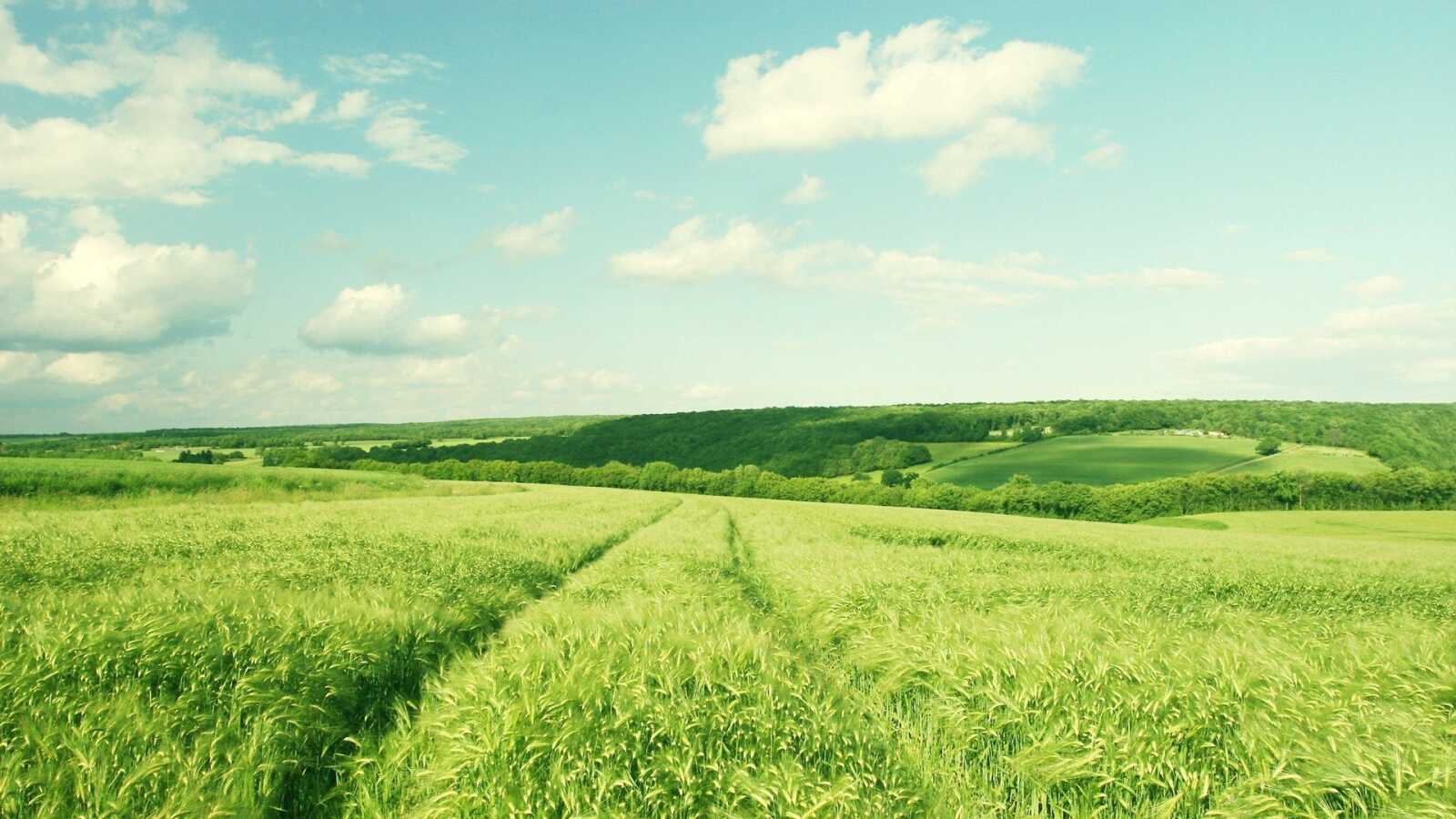 Farm Wallpapers (97 images) - WallpaperCat
