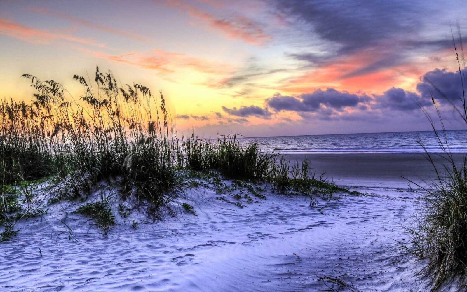 Sc Background Design South Carolina Wallpapers (41 images) - WallpaperCat