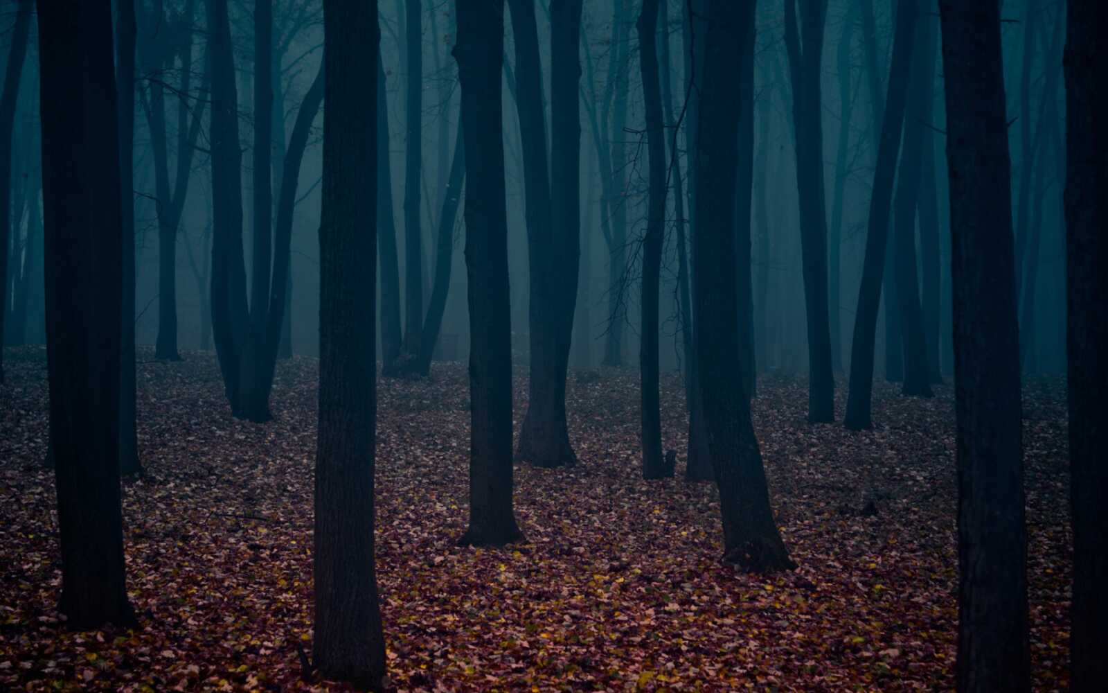 Parks 4K Wallpapers Collection