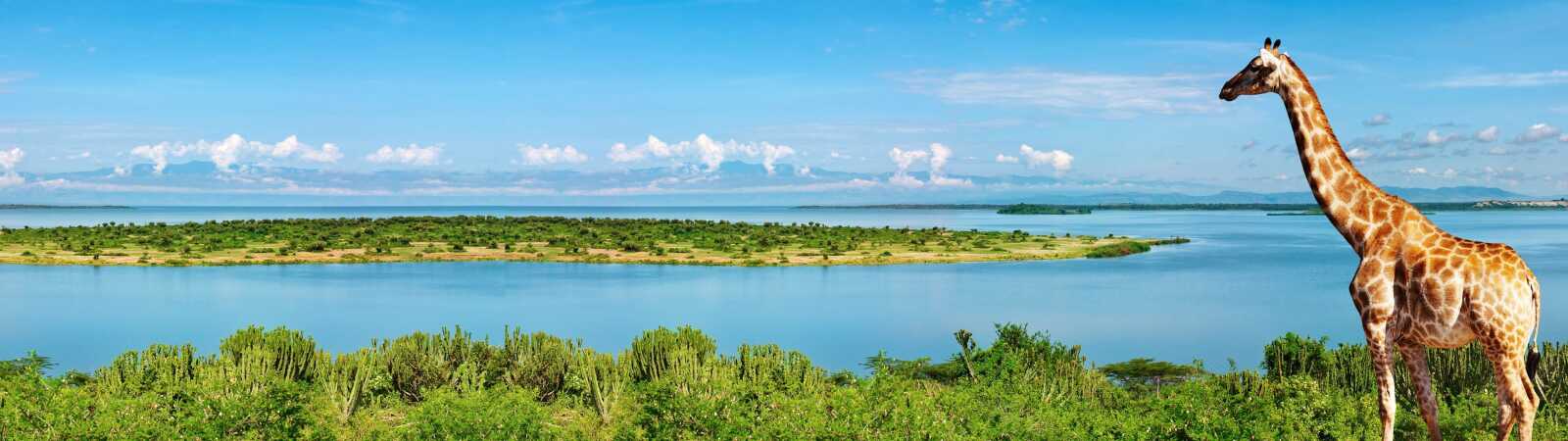 Africa Wallpapers (48 images) - WallpaperCat