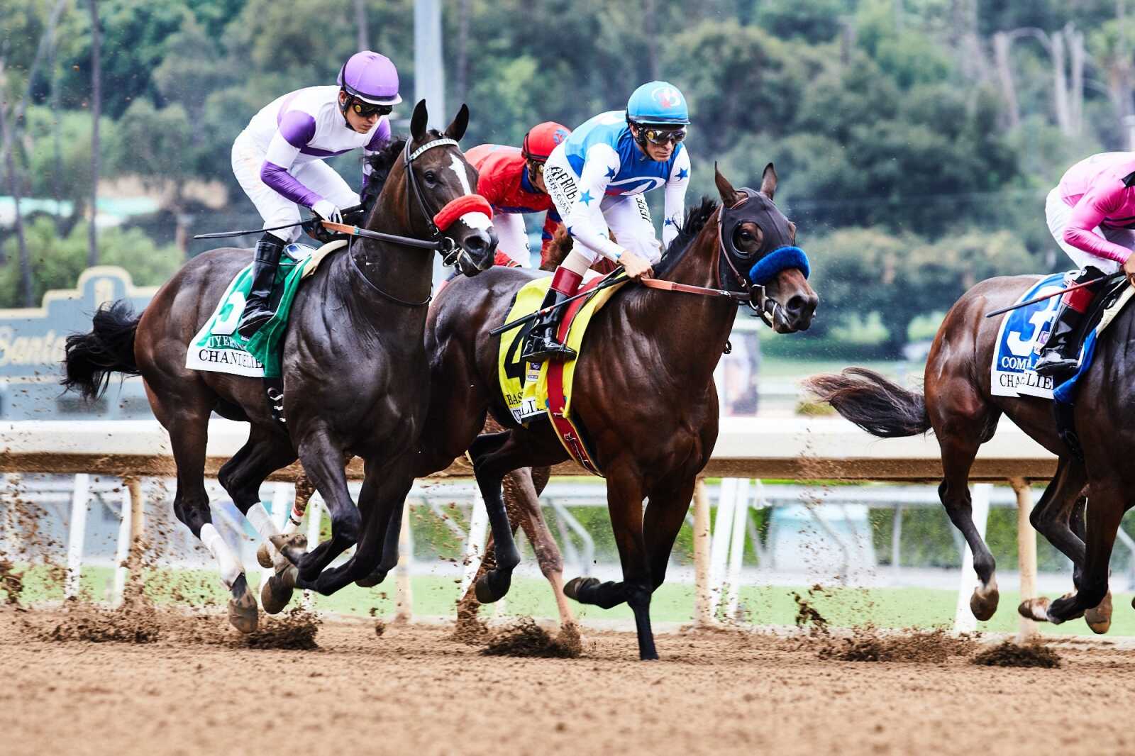 Horse Racing Wallpapers (65 images) - WallpaperCat