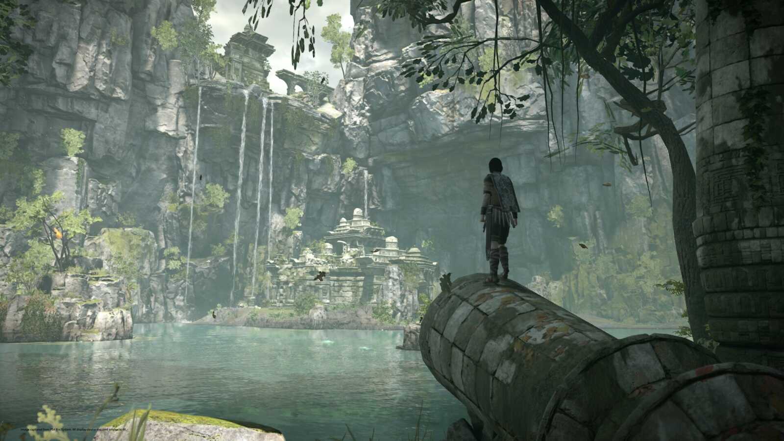 Desktop 1080P Shadow Of The Colossus - AMO...