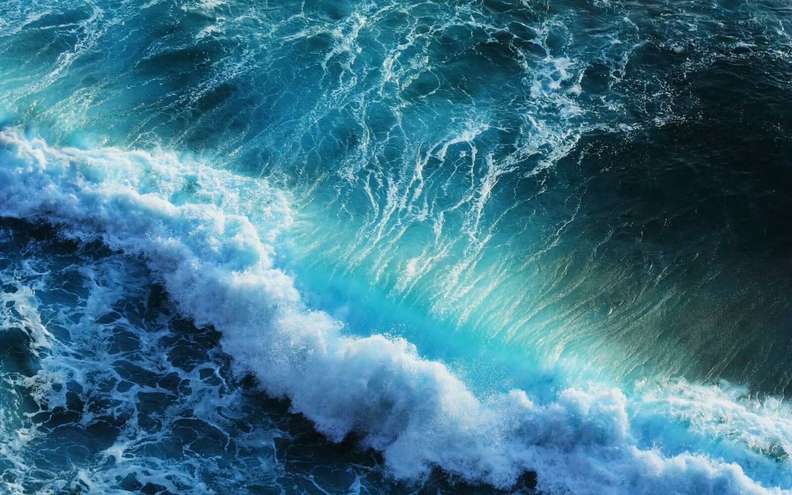 Cresting Ocean Wave