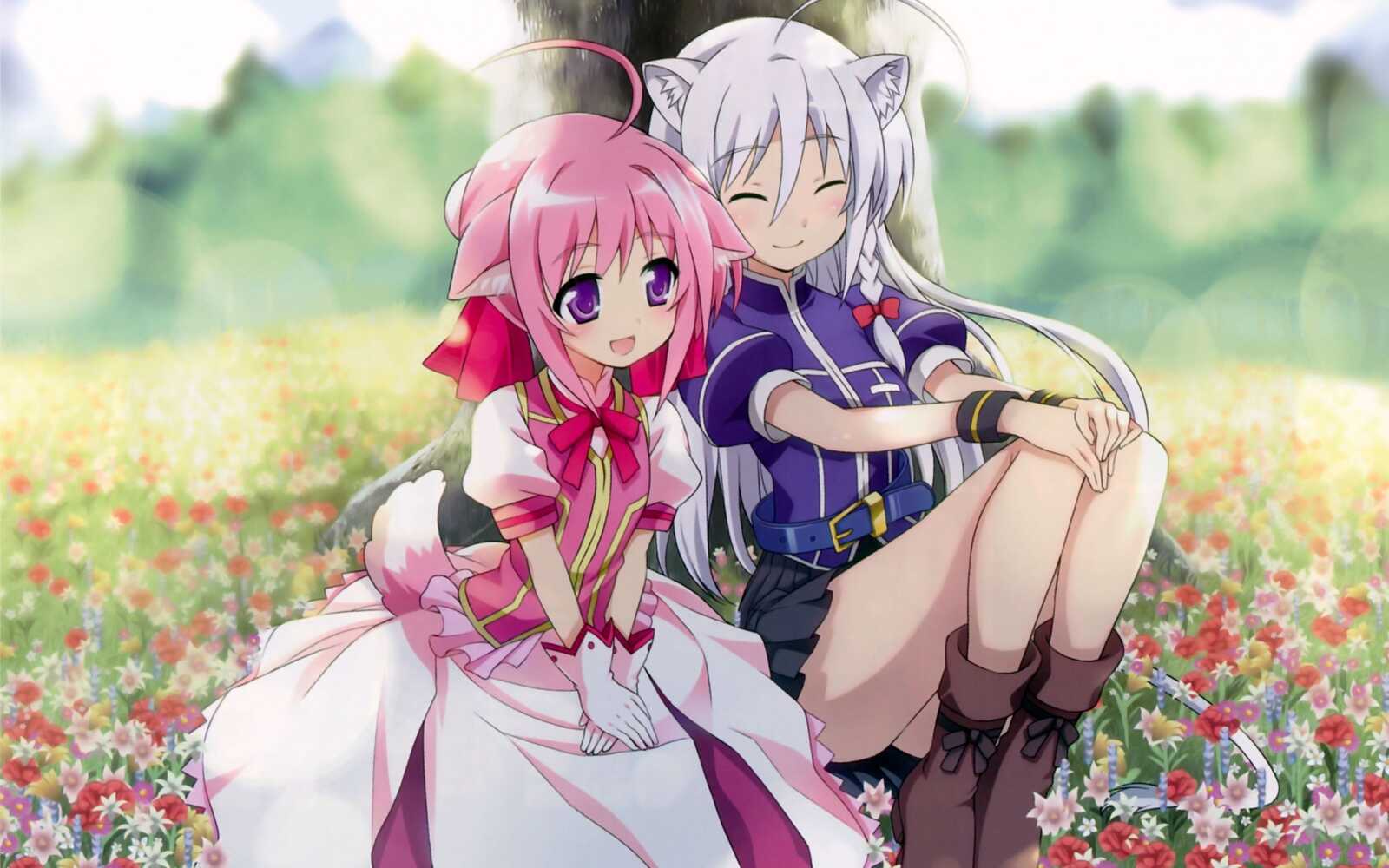 Desktop Hd Dog Days Anime - Dog Days