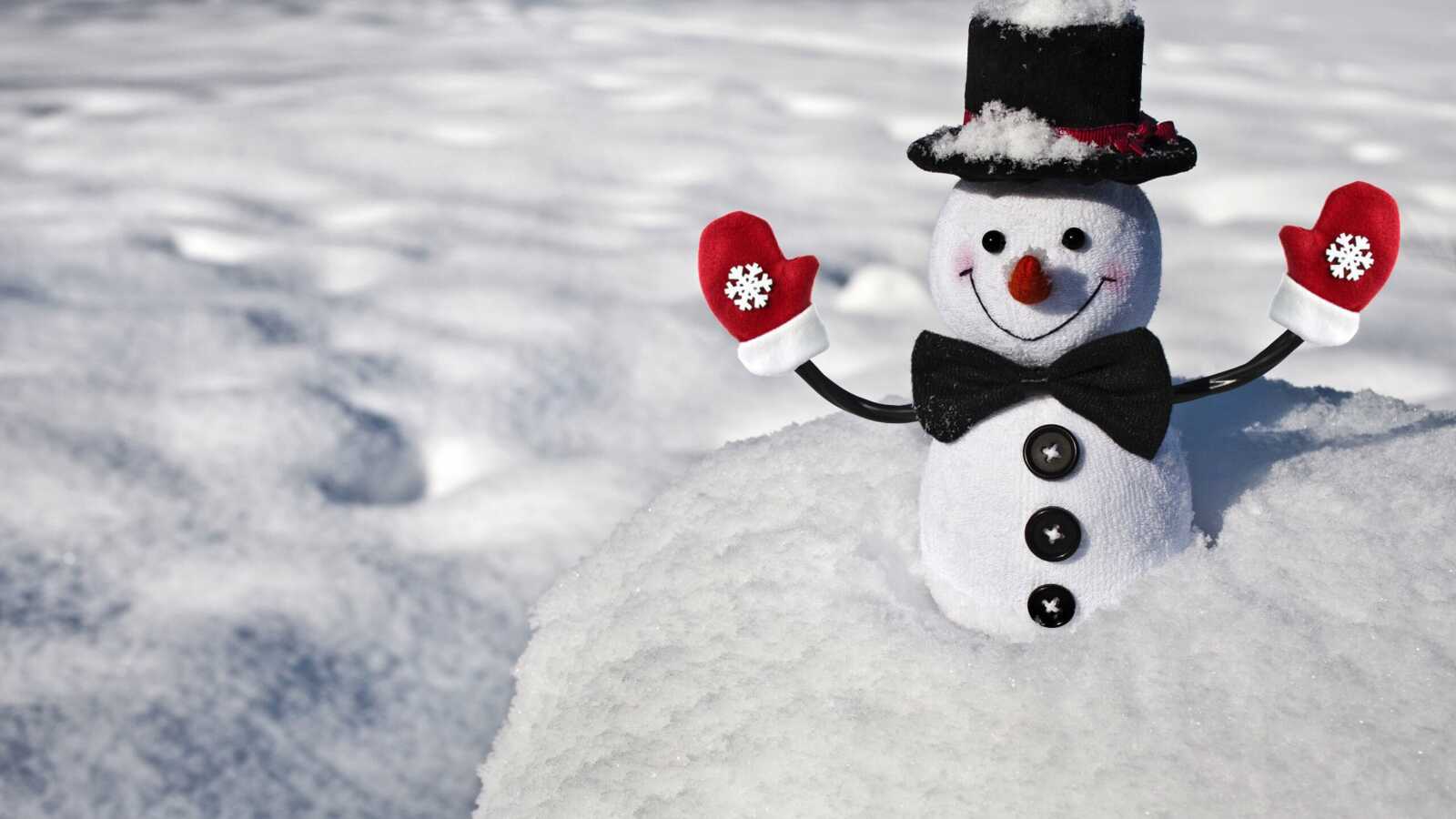 Snowman
