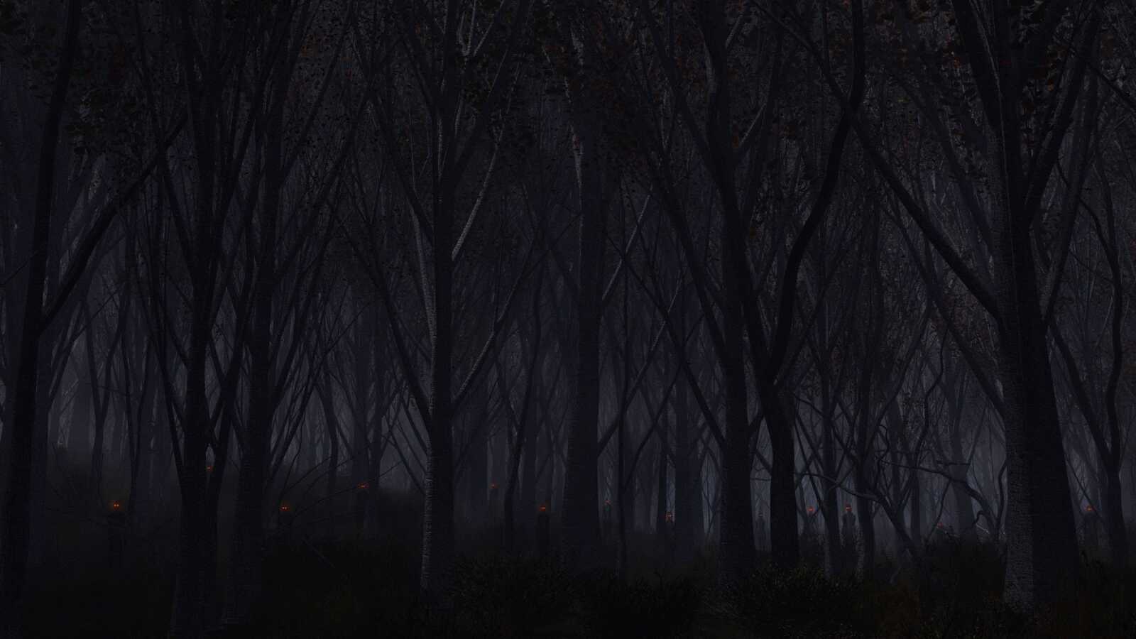 Forest