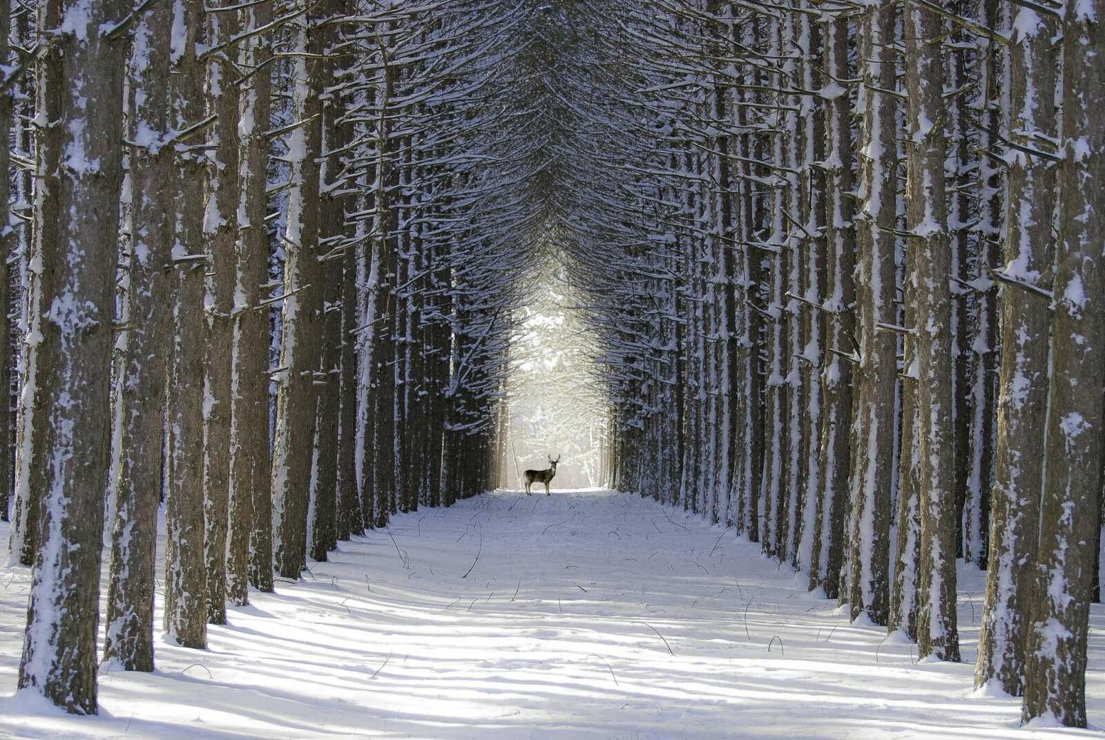 Alley