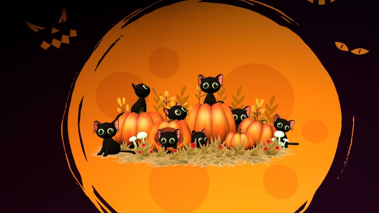 Halloween Cat Wallpapers (21 images) - WallpaperCat