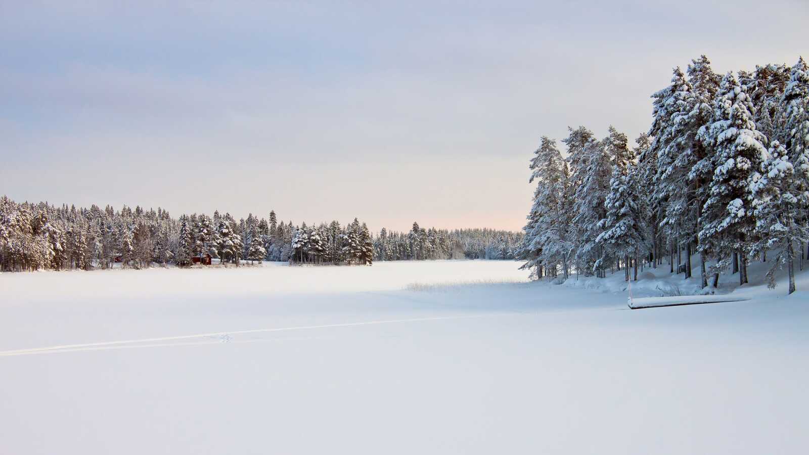Frozen 4K Wallpapers Collection
