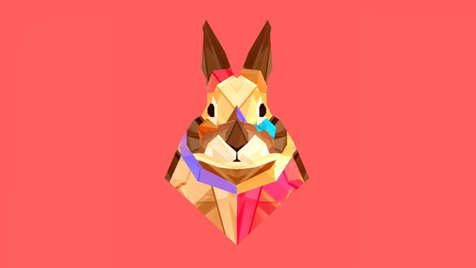 Rabbit Wallpapers (64 images) - WallpaperCat