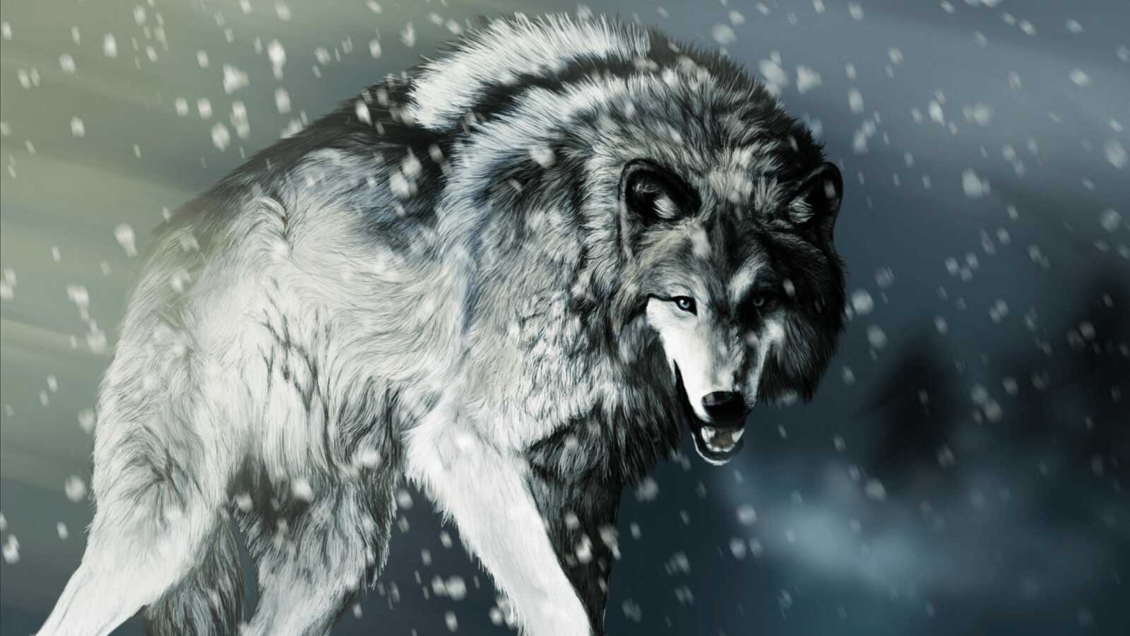 Snarling Gray Wolf