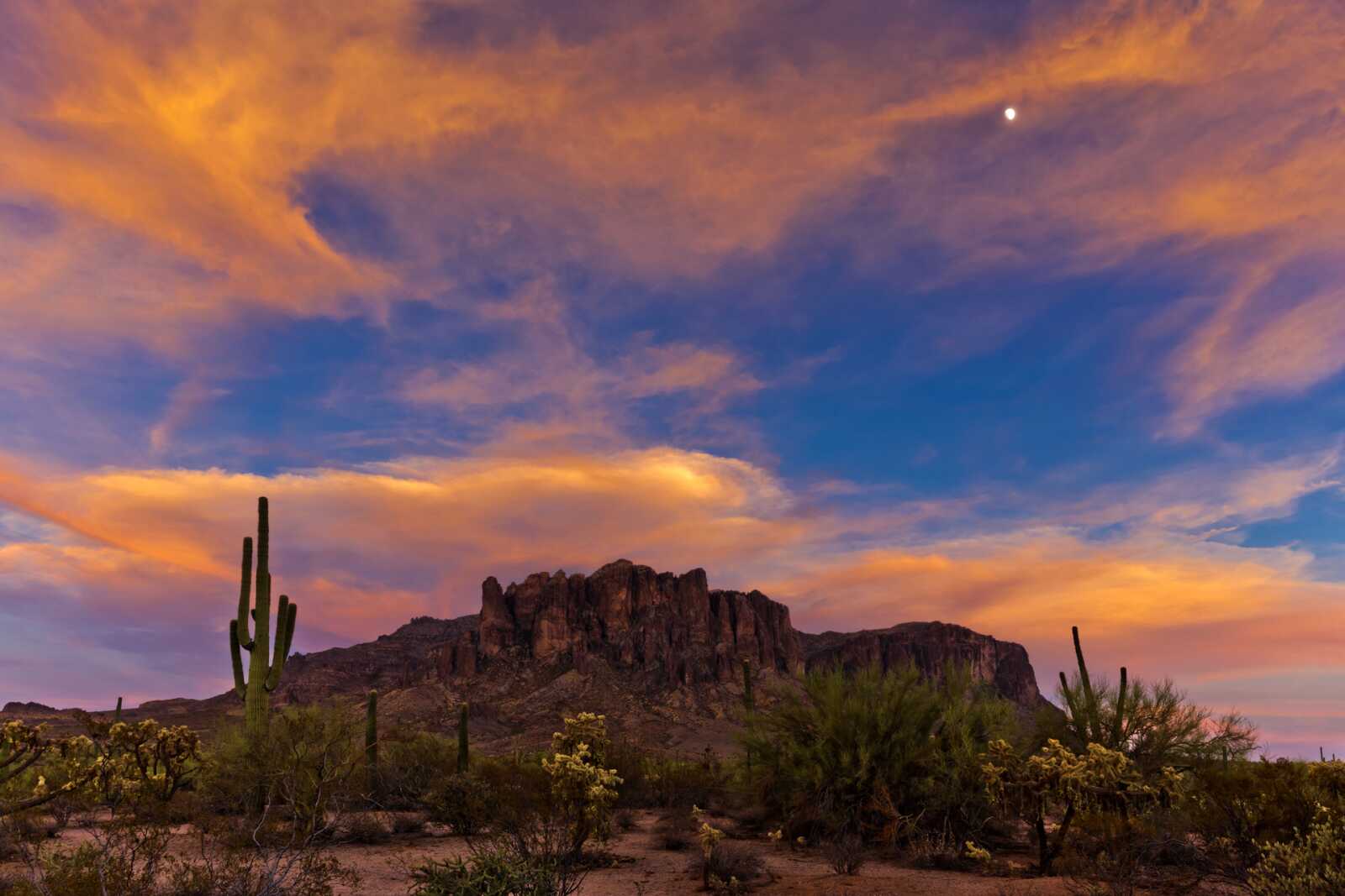Arizona Wallpapers (48 images) - WallpaperCat