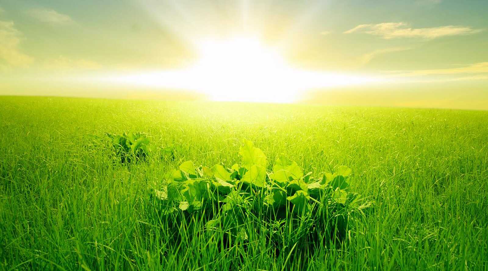 Sun Wallpapers (119 images) - WallpaperCat