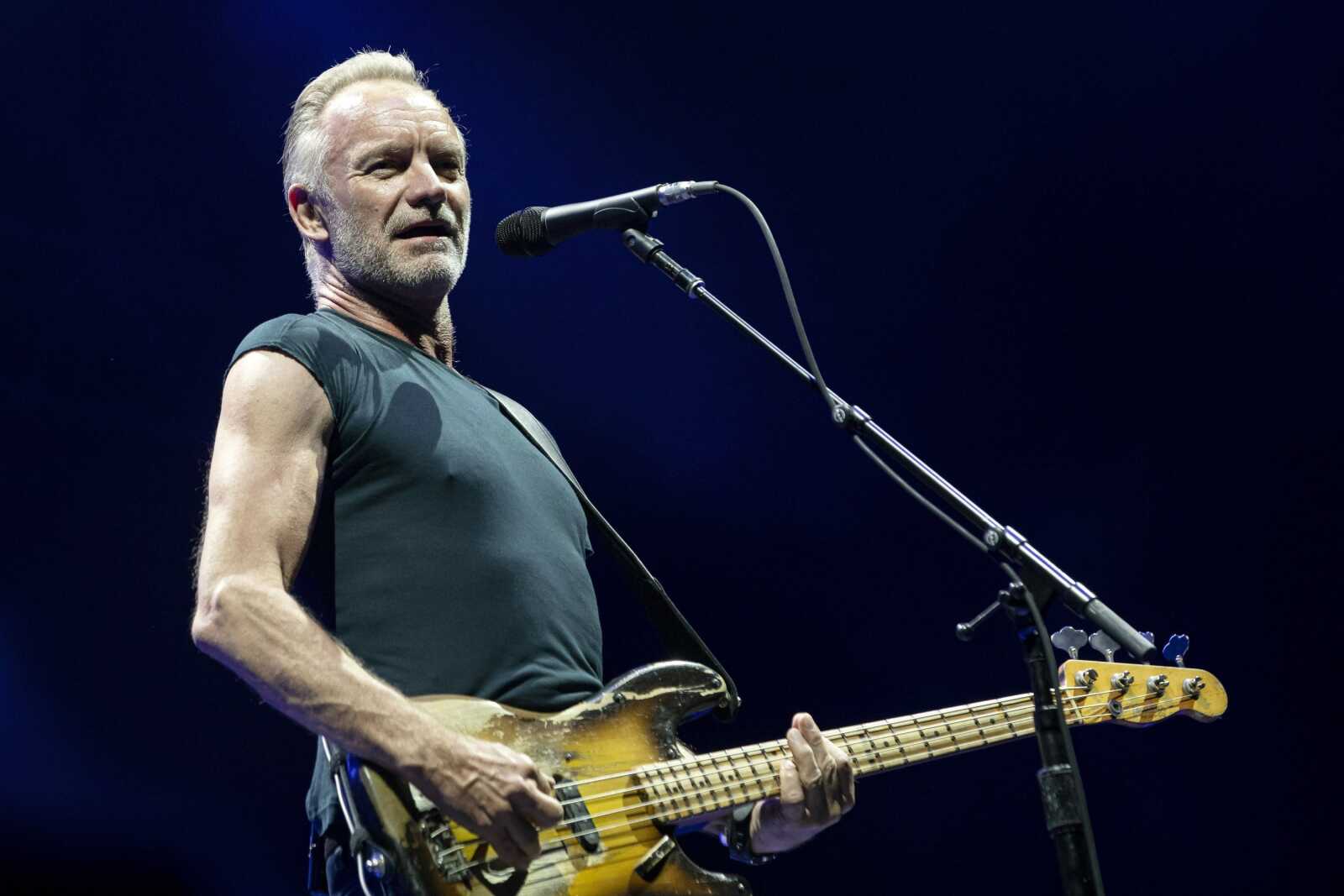 Sting Instrument Background Sting Wallpapers (38 images) - WallpaperCat