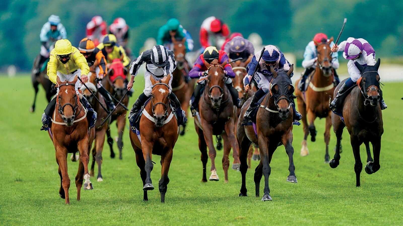 Horse Racing Wallpapers (65 images) - WallpaperCat