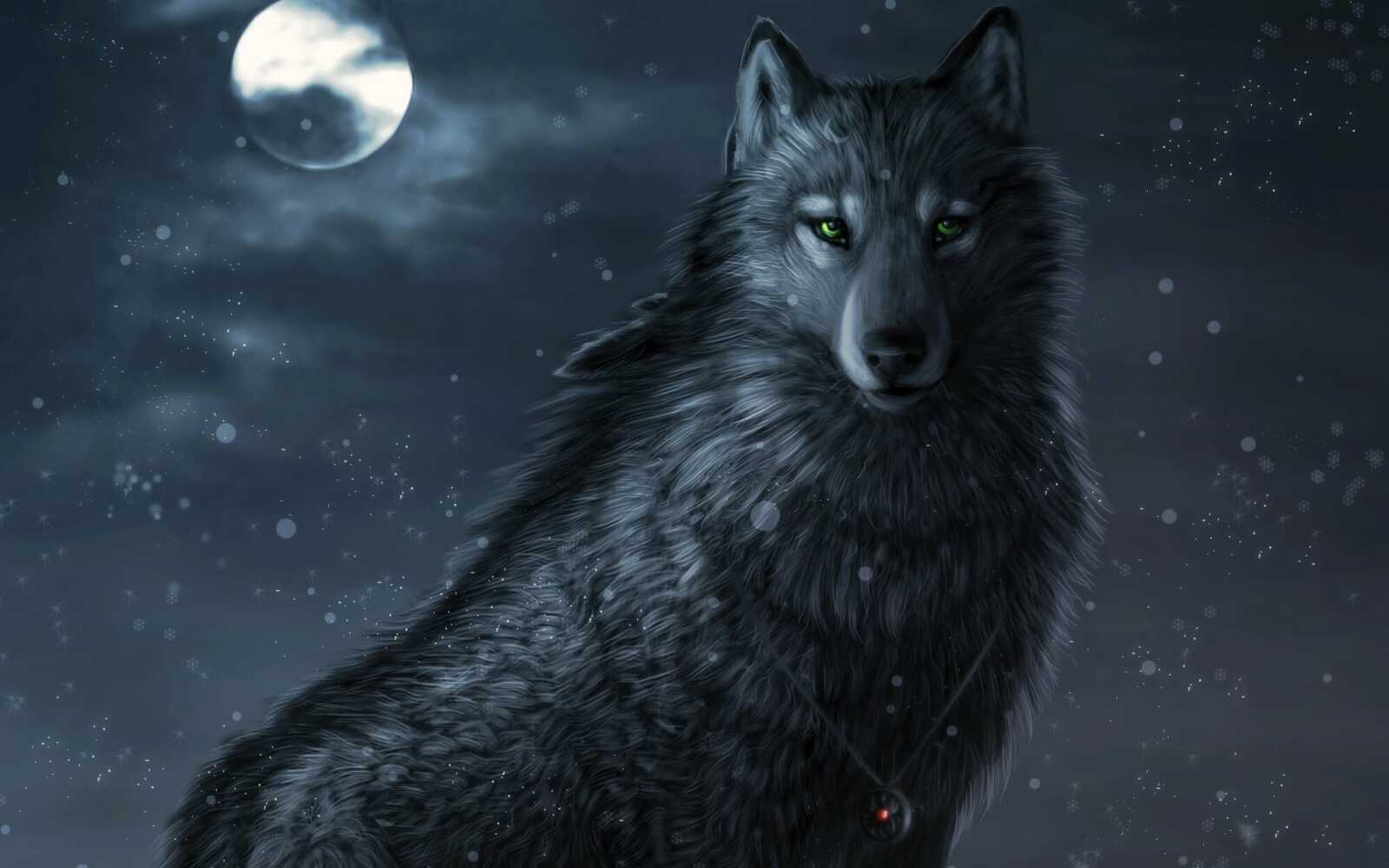 Green-Eyed Black Wolf
