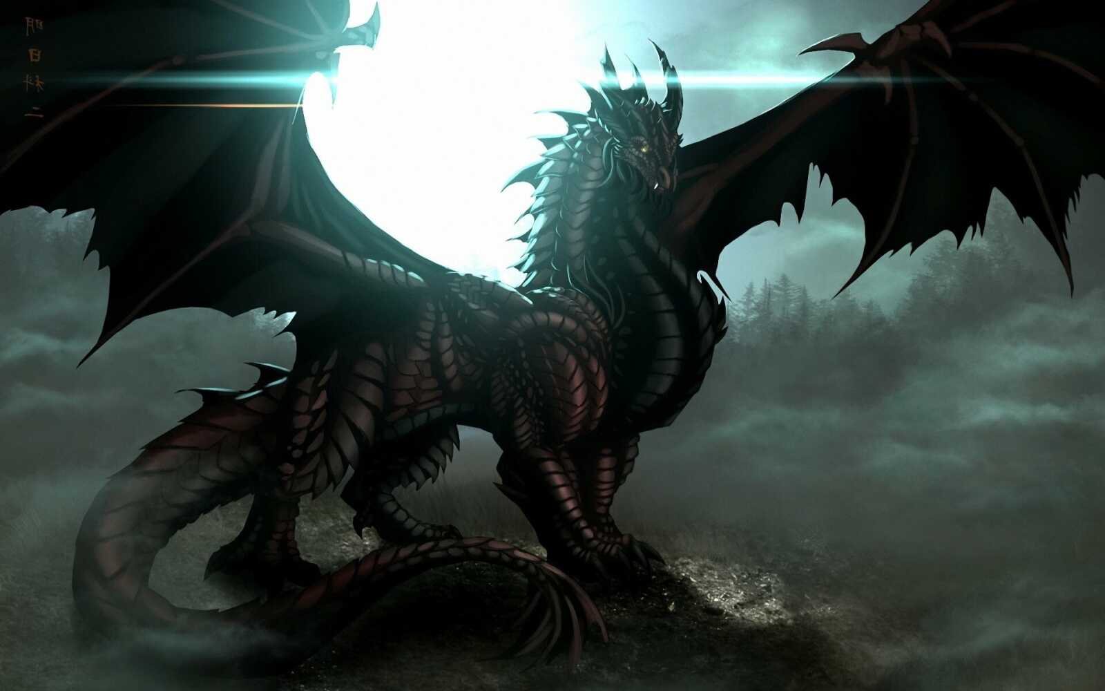 Black Winged Dragon