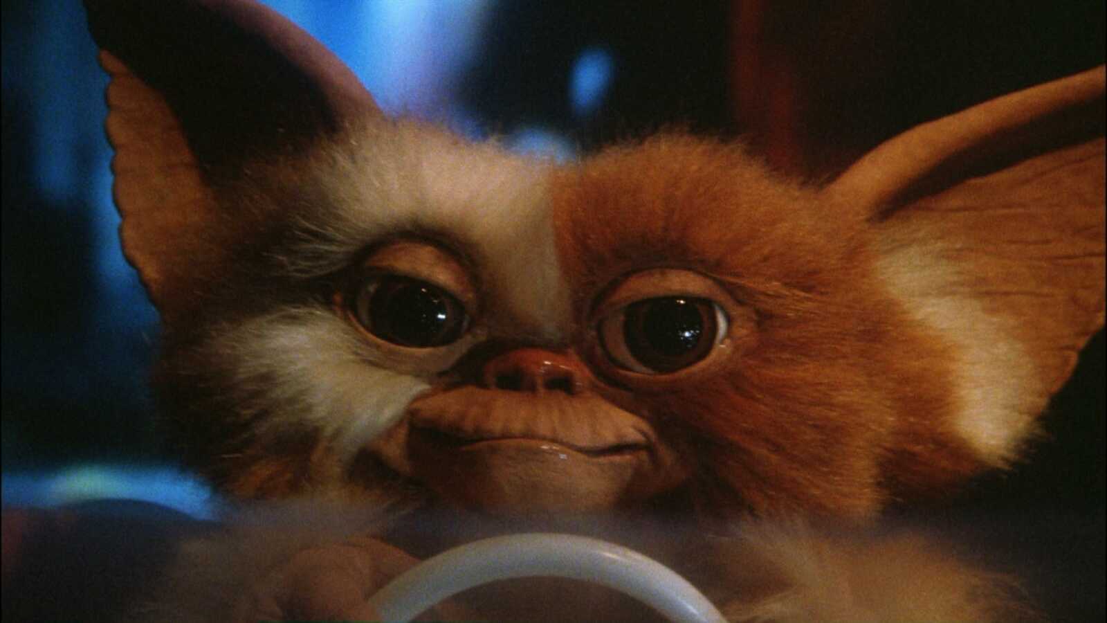 Gremlin Background Innerspace Gremlin Wallpapers (28 images) - WallpaperCat