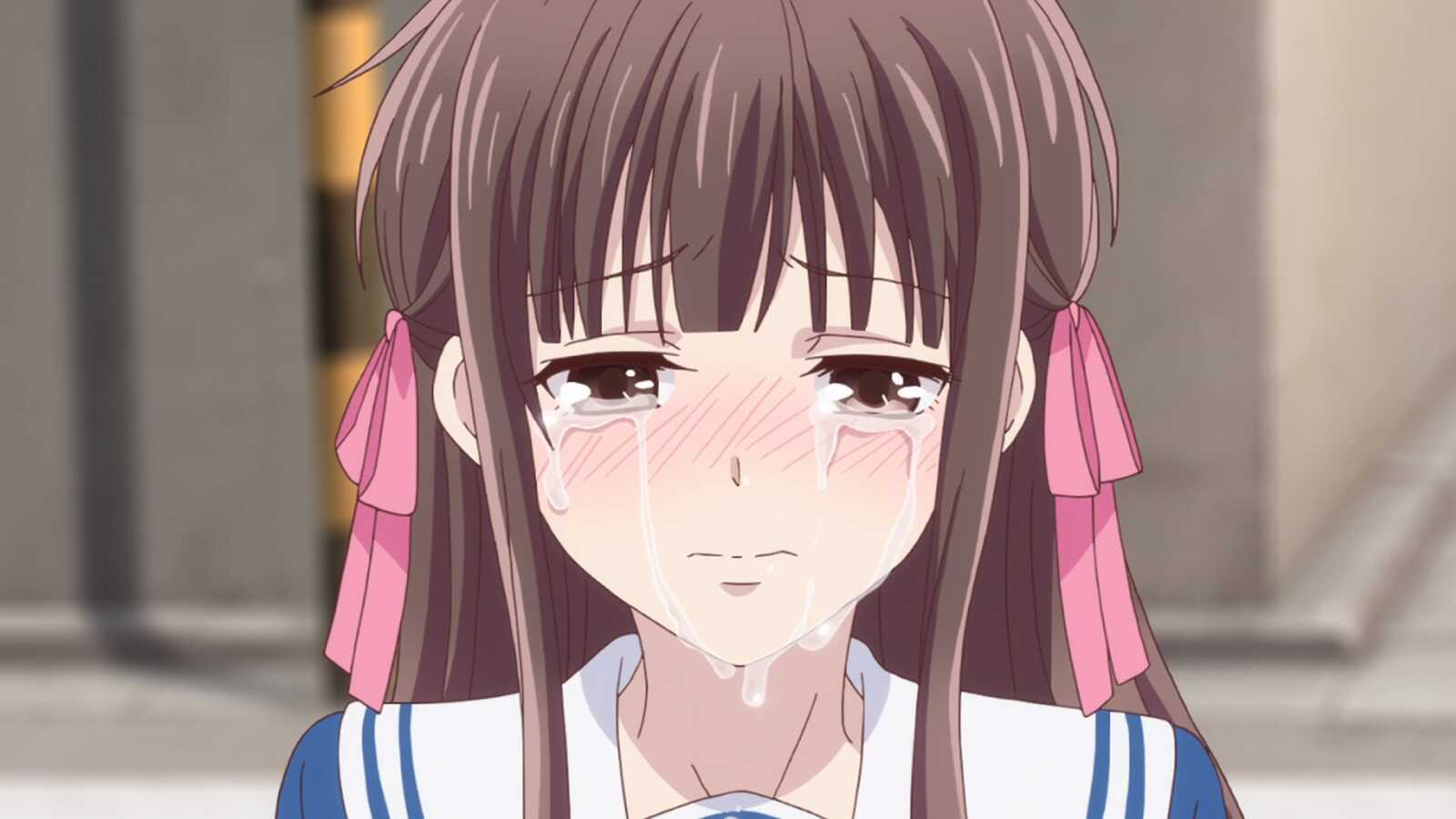 Desktop Full Hd Fruits Basket Anime - Frui...