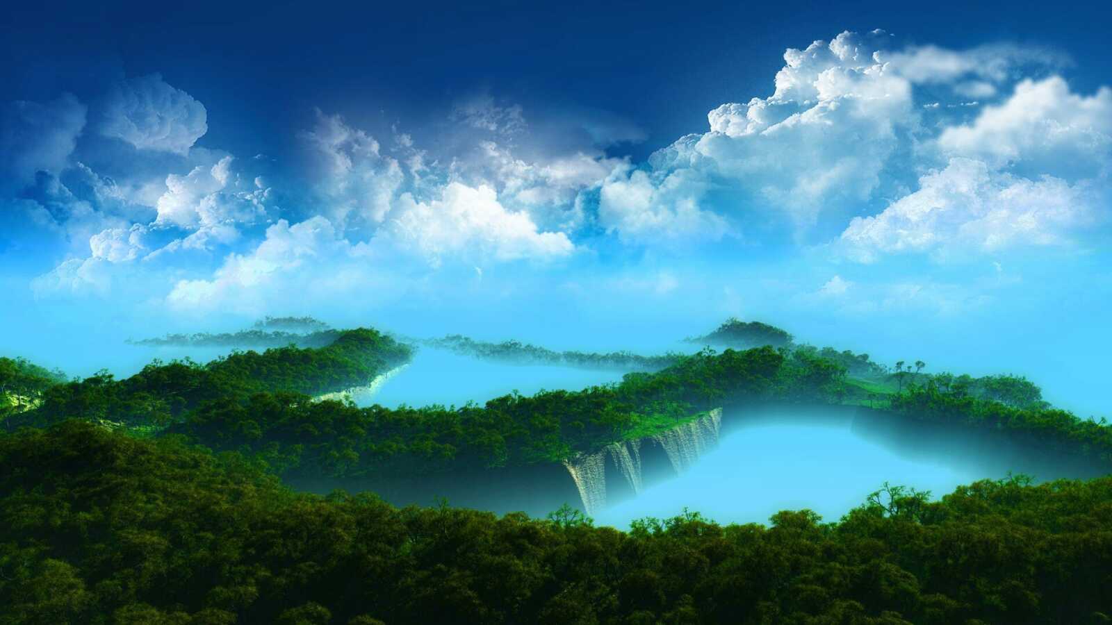 Holly Tree 4K Wallpapers Collection