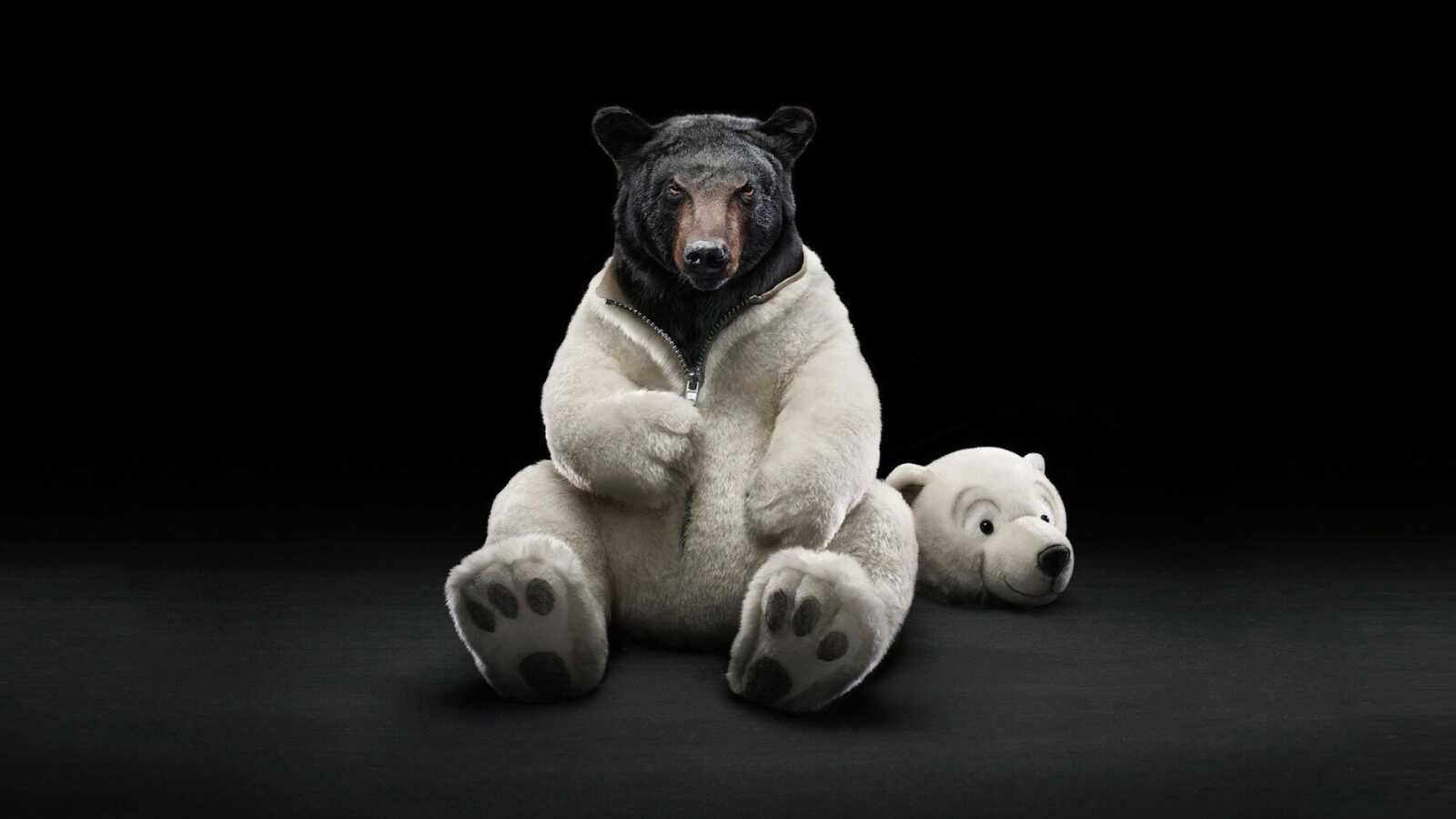 Black Bear In Polar Bear Costume