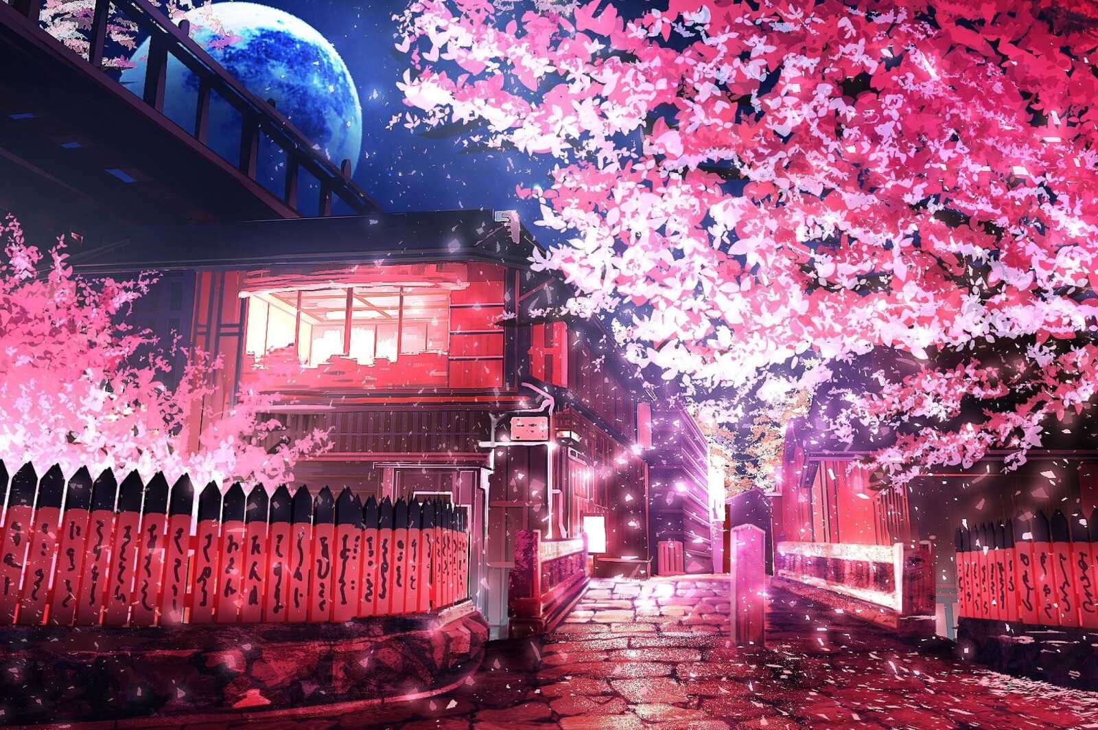 Desktop Hd Cherry Blossom Anime - Cherry Blossom