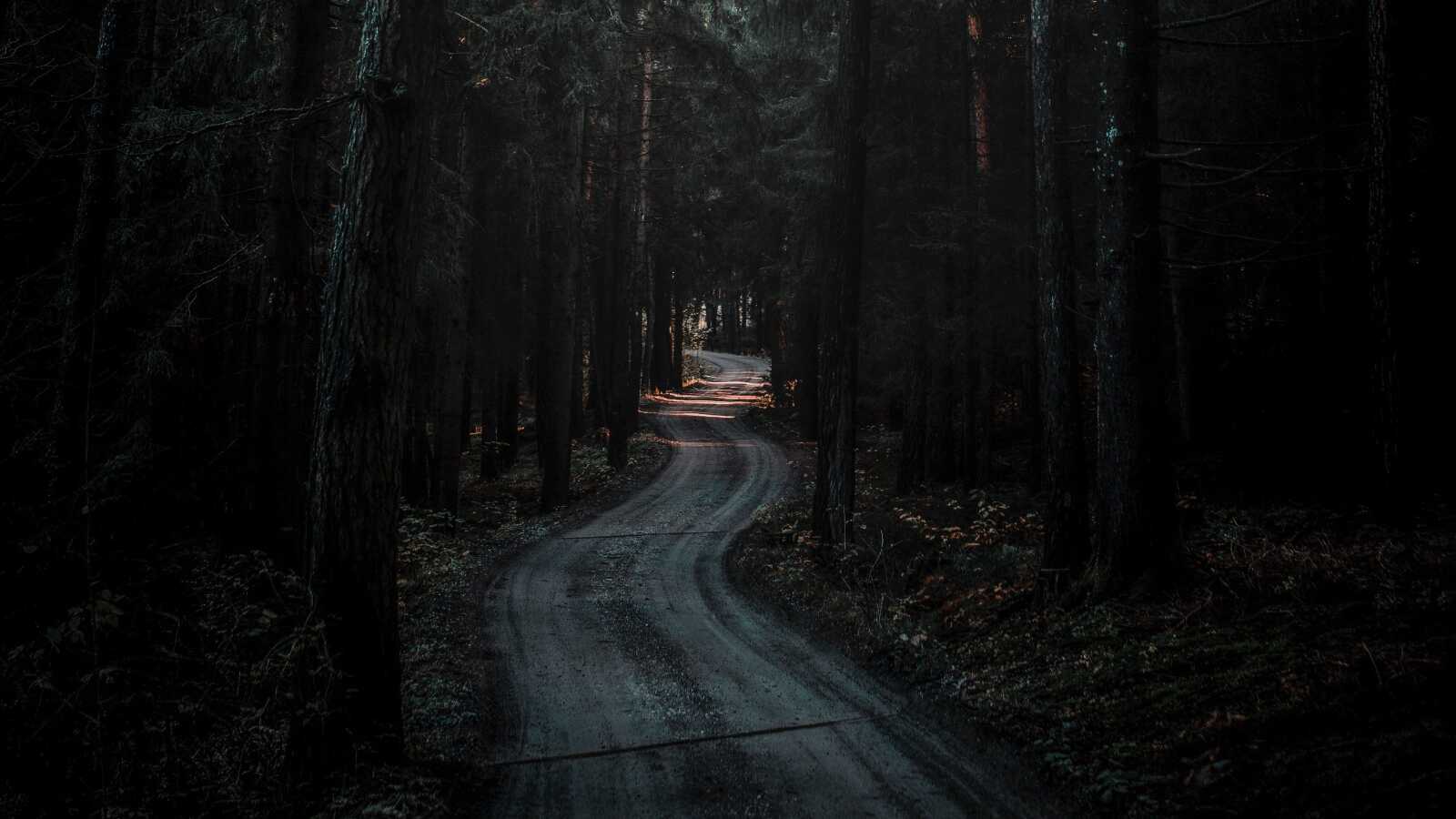Forest Road