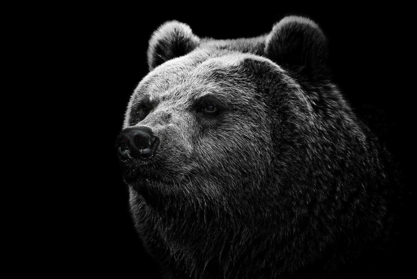 Honeycombs 4K Wallpapers Collection