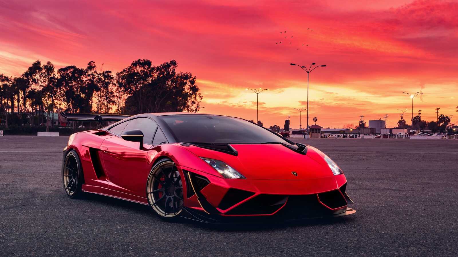 Custom Lamborghini Gallardo