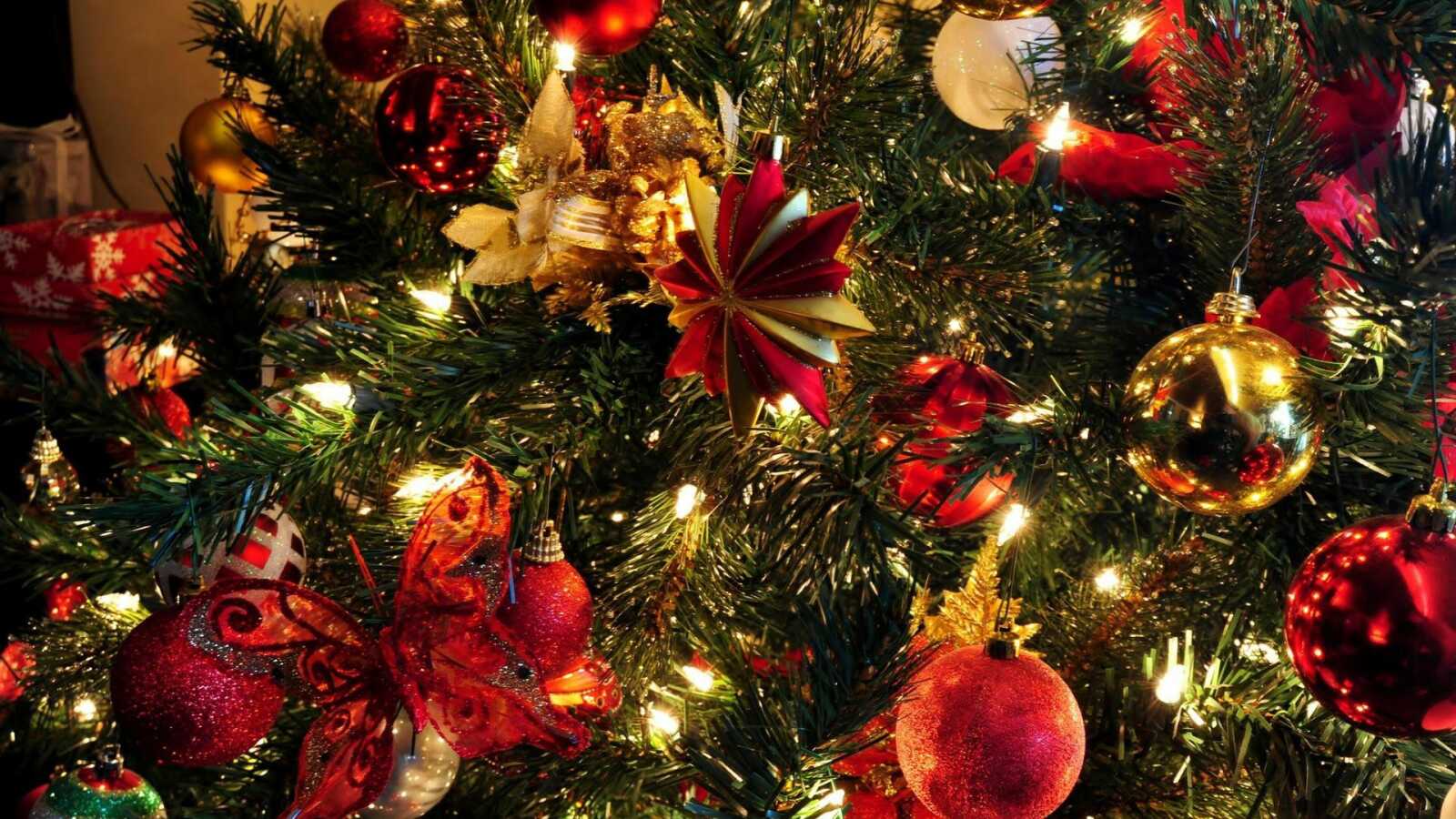 Decorated Christmas Tree