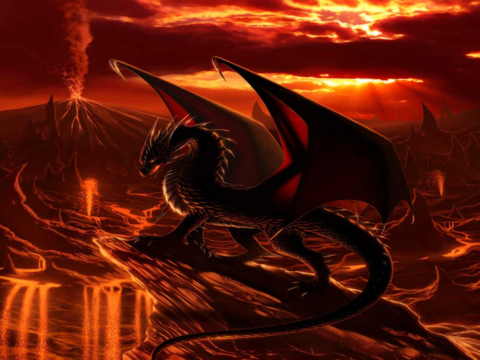 Black Red-Winged Dragon