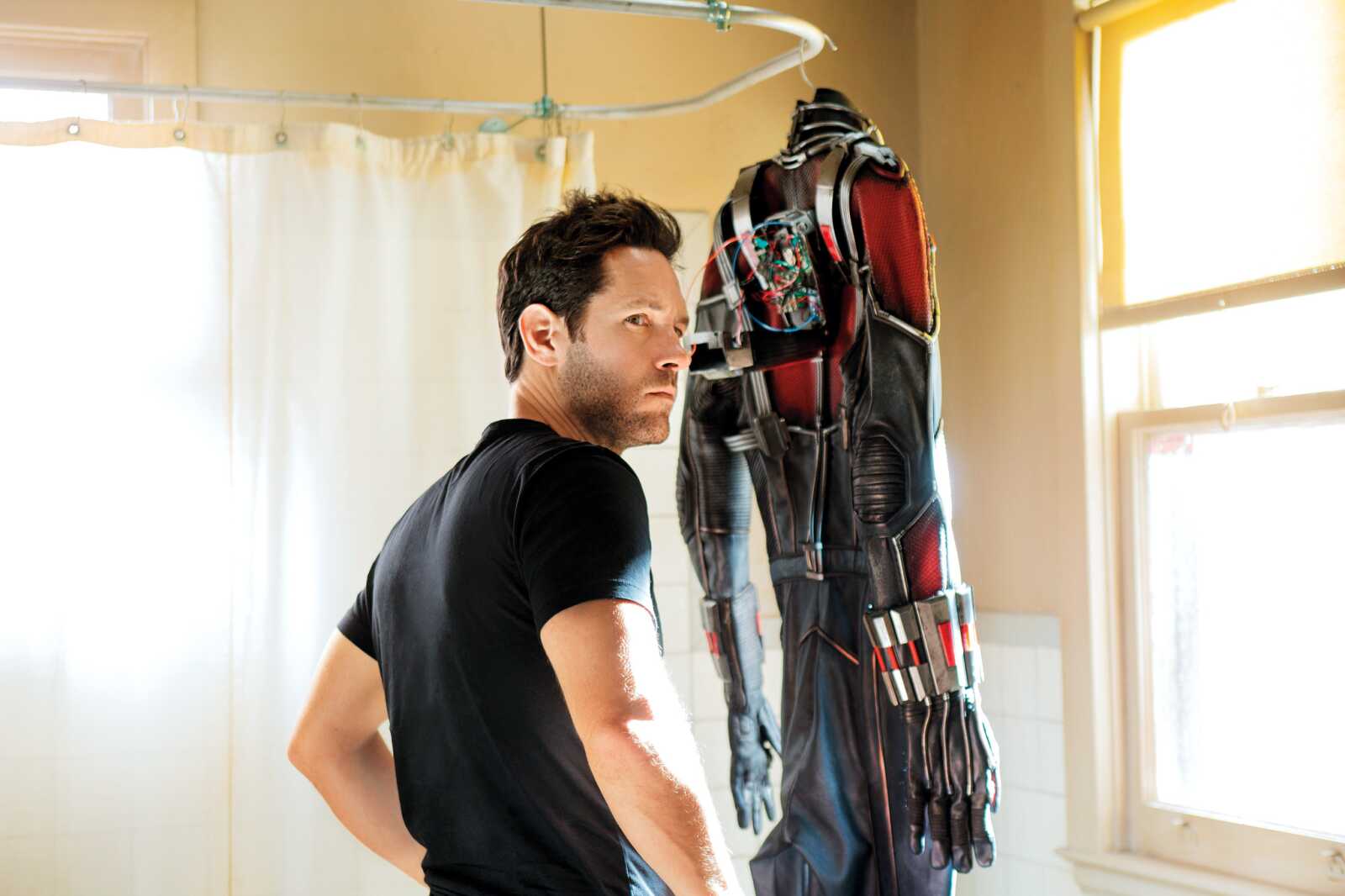 Paul Rudd Computer Background Paul Rudd (Ant-Man) Wallpapers (30 images) - WallpaperCat
