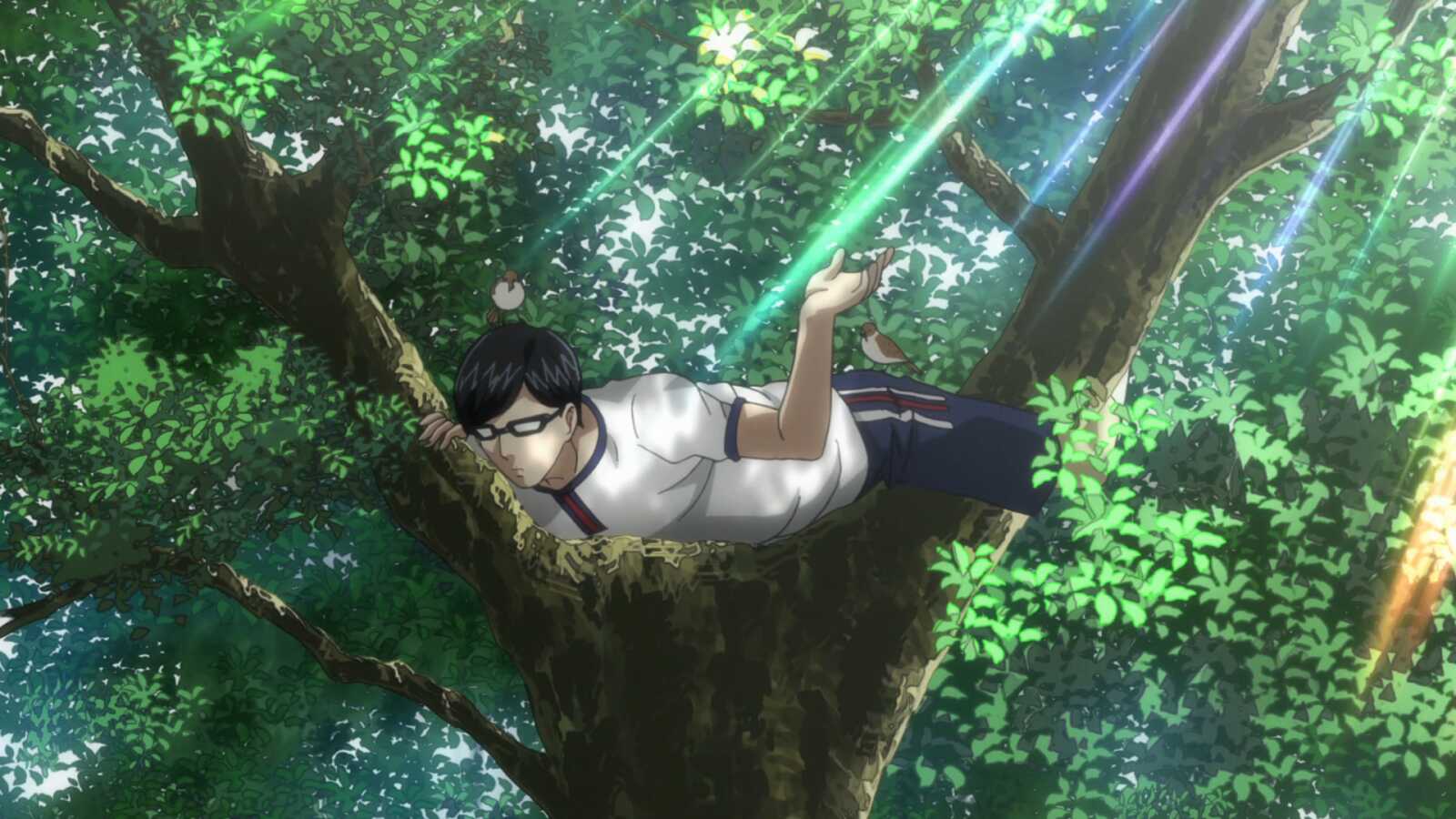 Haven't You Heard? I'm Sakamoto 4K Ultra Wallpaper