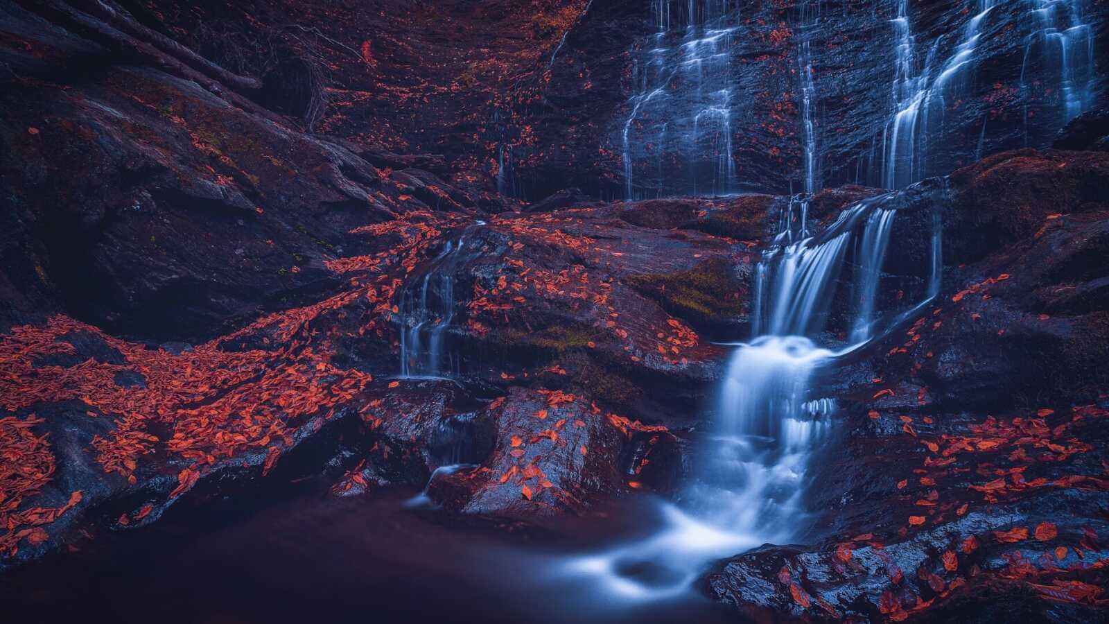 Moss Glen