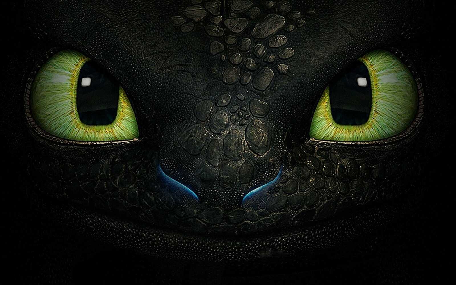 Desktop Hd How To Train Your Dragon - How...