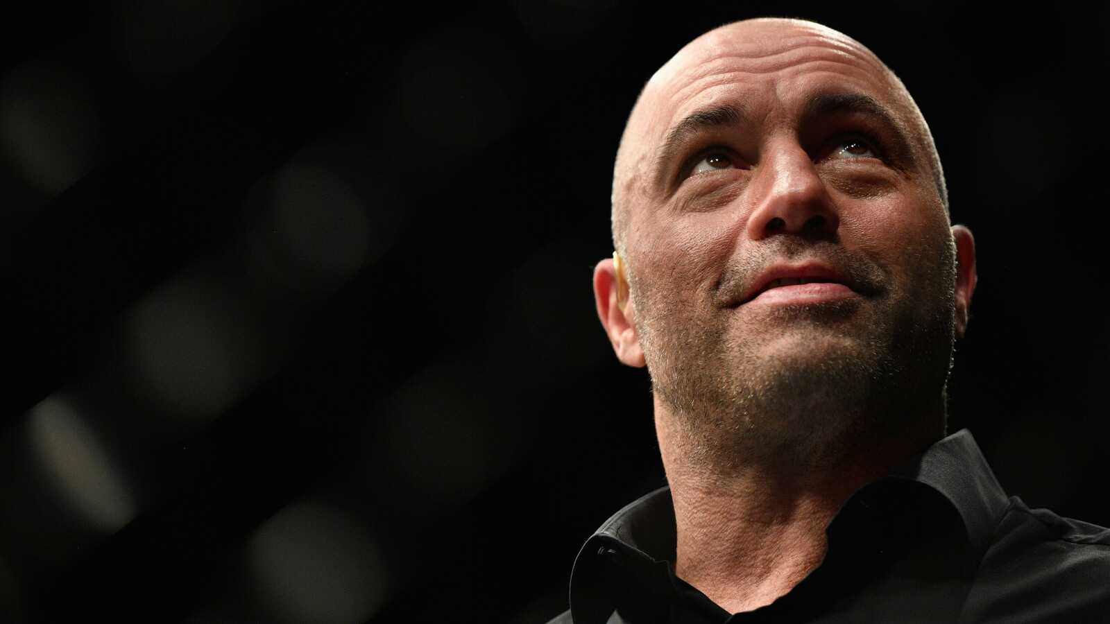Mesmerizing Dog Food Joe Rogan Uses Abstract for Desktop Mesmerizing Dog Food Joe Rogan Uses Abstract for Desktop