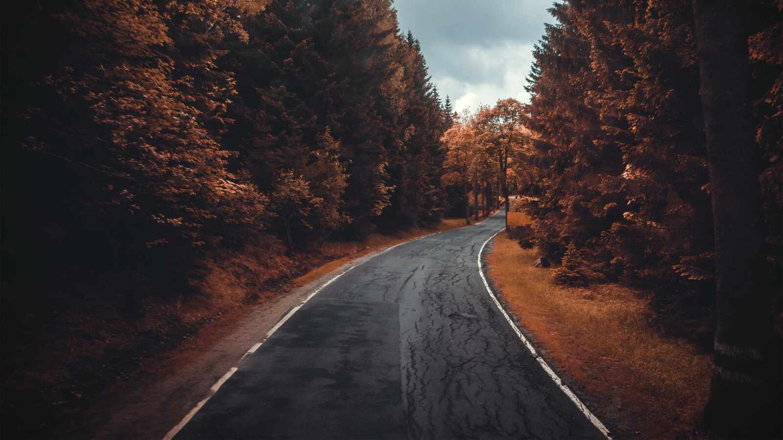Road 4K Wallpapers Collection