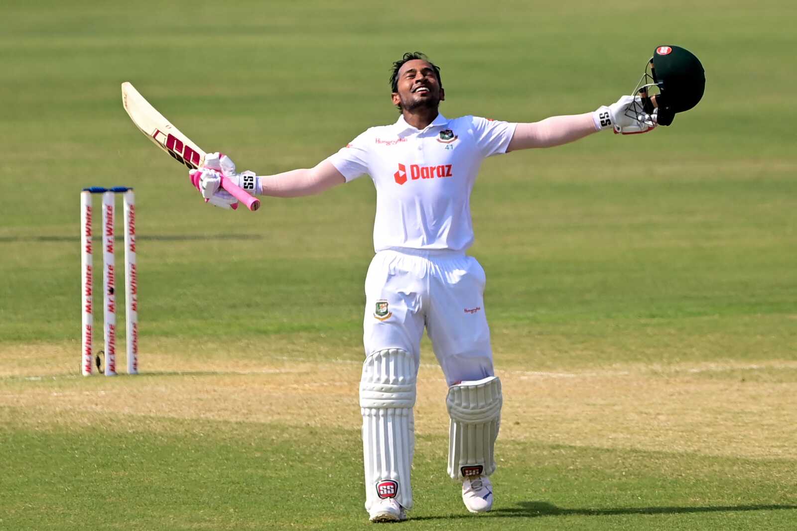 Cricket Wallpapers (47 images) - WallpaperCat