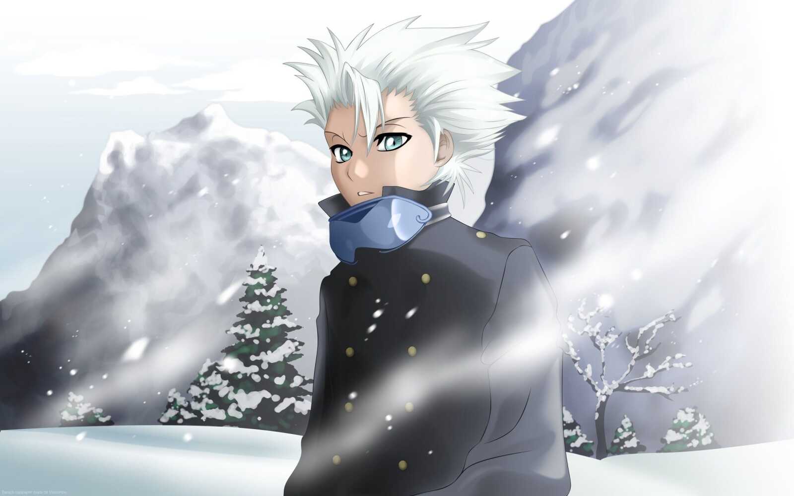 Desktop Hd Hitsugaya - Hitsugaya
