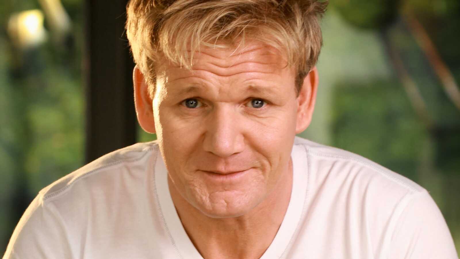 Gordon Ramsay Cat Rumpy Gordon Ramsay Wallpapers (37 images) - WallpaperCat