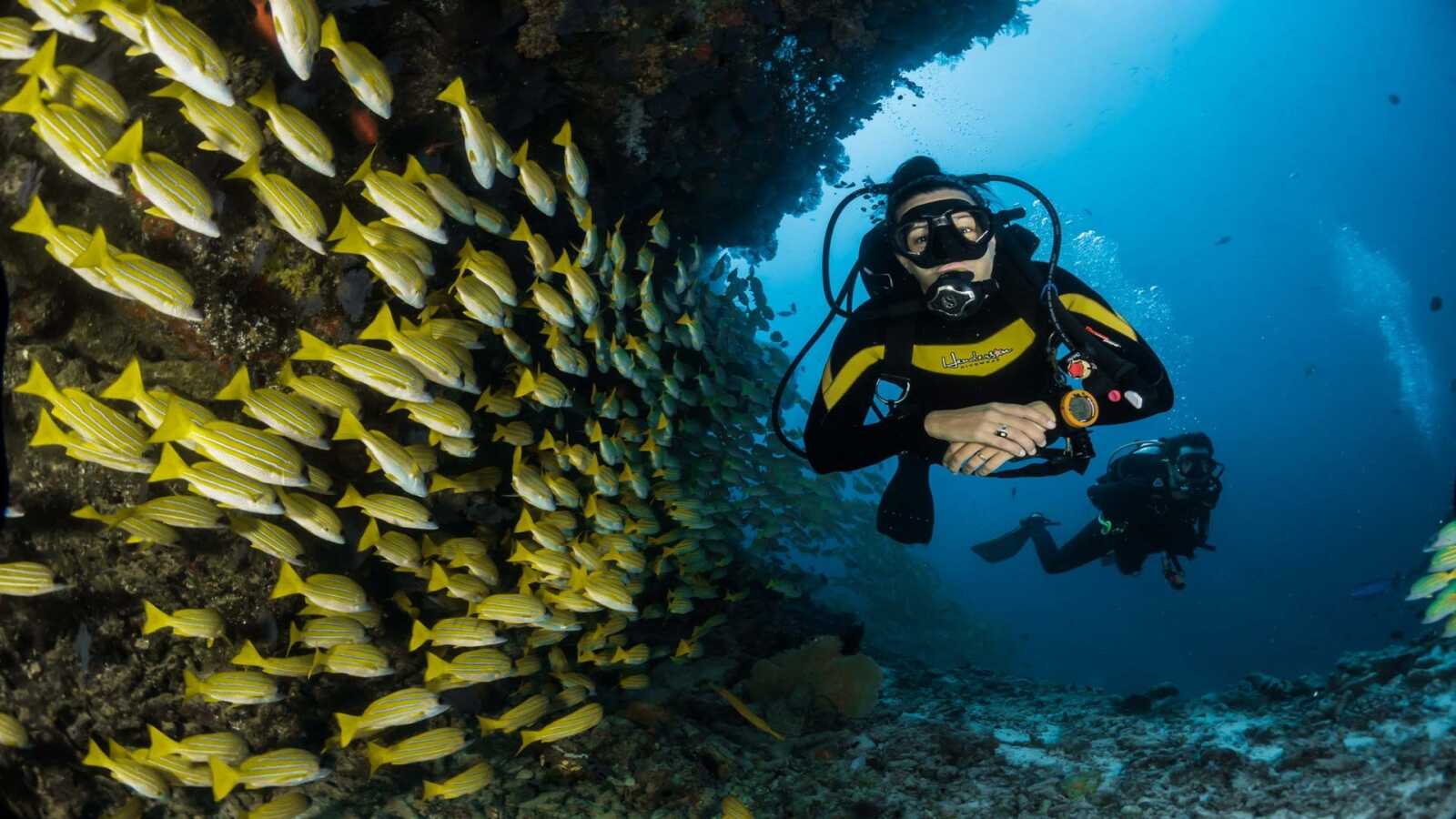 Diving Wallpapers (43 images) - WallpaperCat