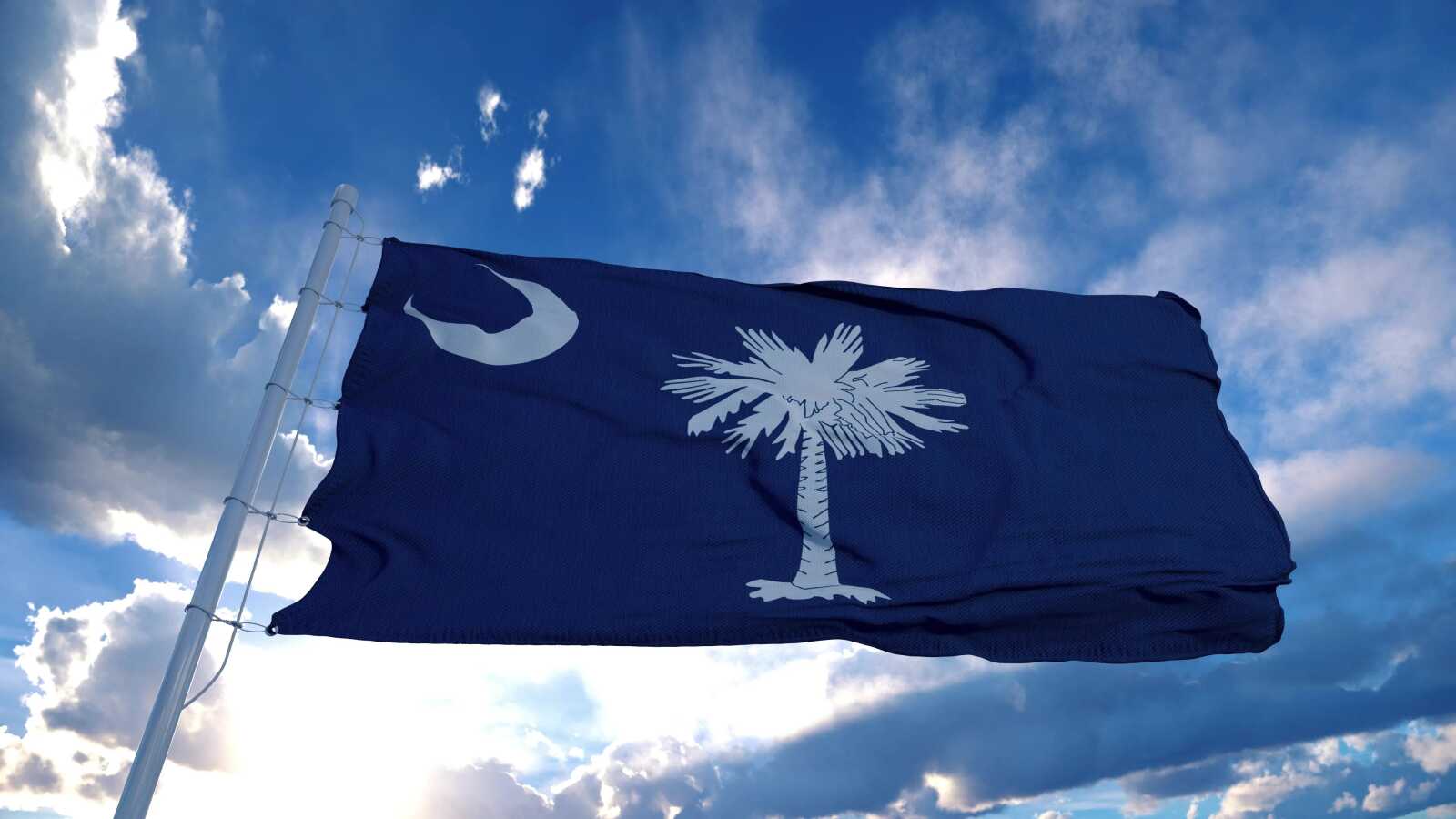 Sc Background Design South Carolina Wallpapers (41 images) - WallpaperCat