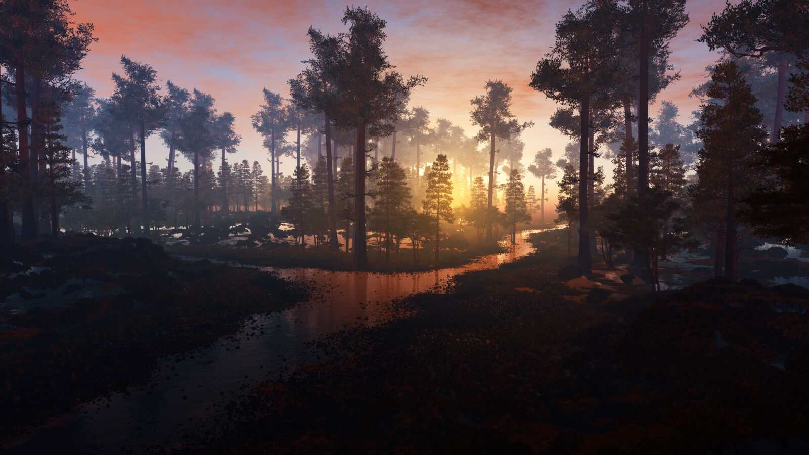 Pine Forest Sunset
