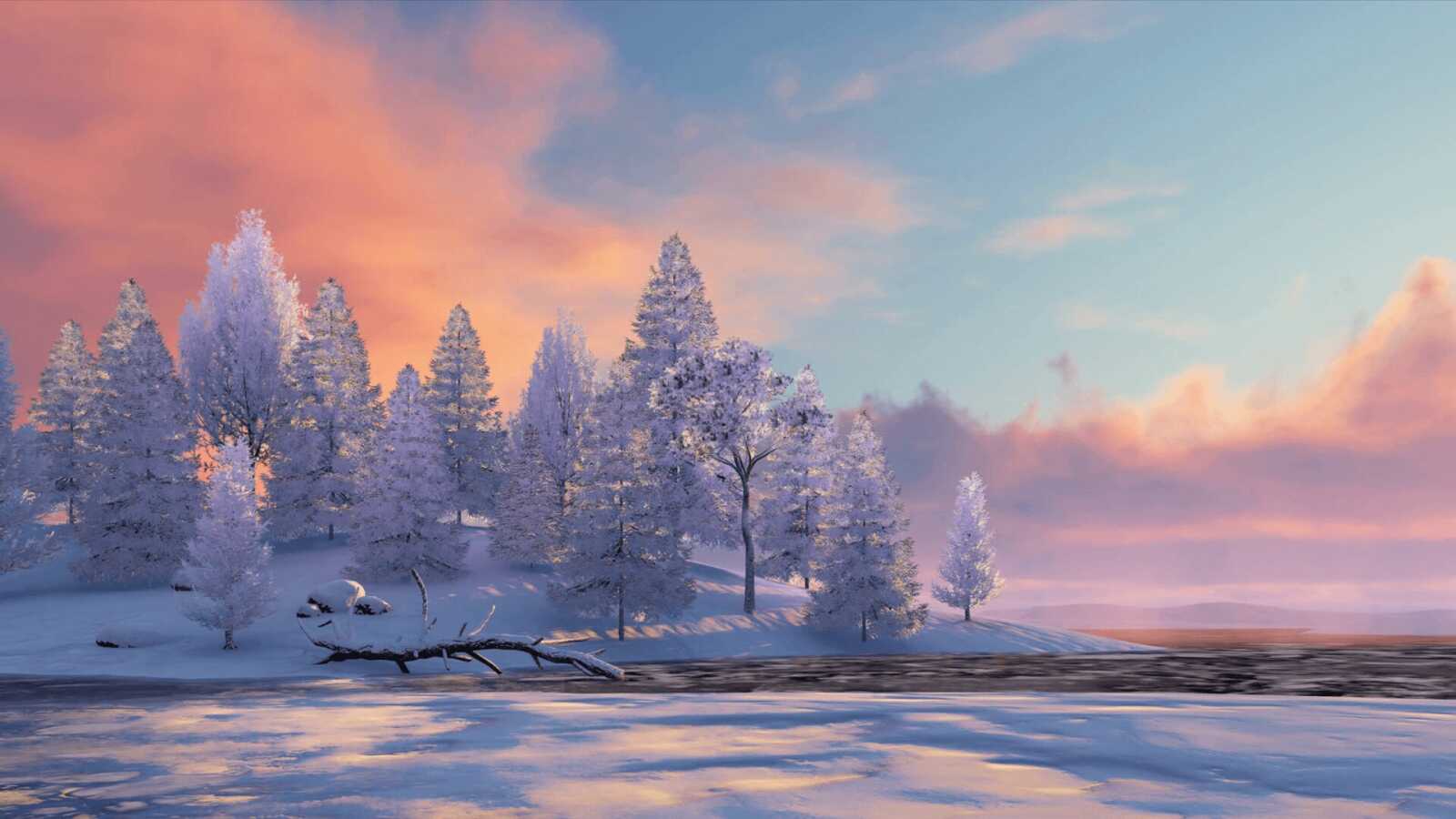 Snow-Covered Pine Trees