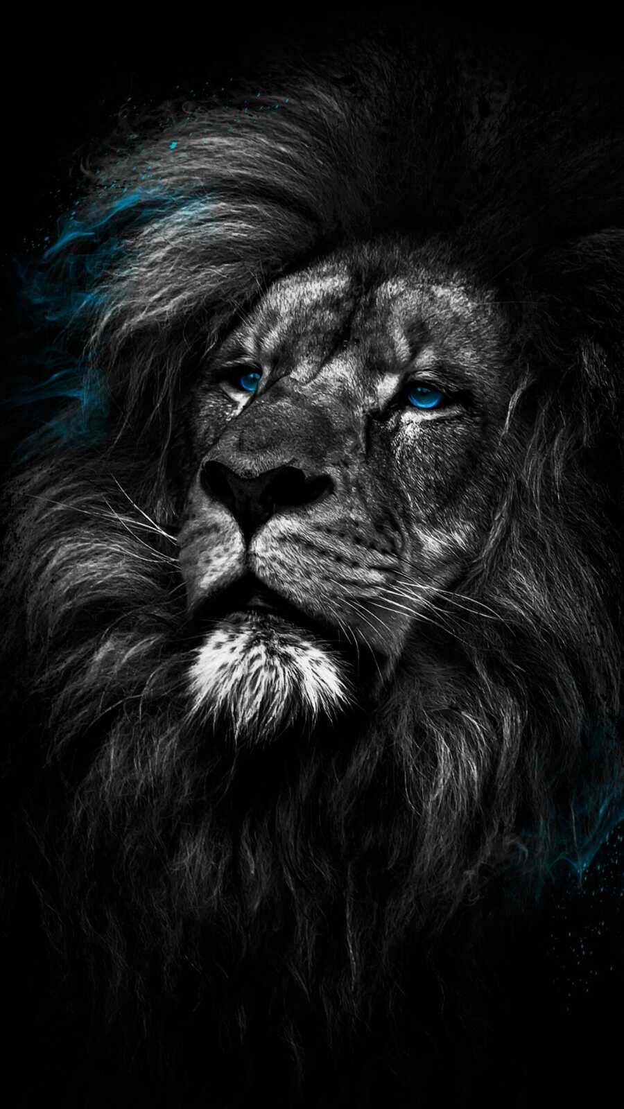 Male Lion Portrait